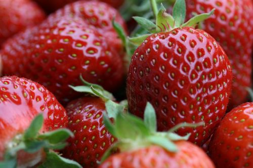 strawberries fruit eat