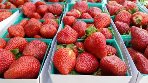 strawberries fruit food