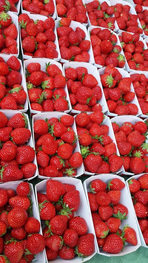 strawberries market fruit