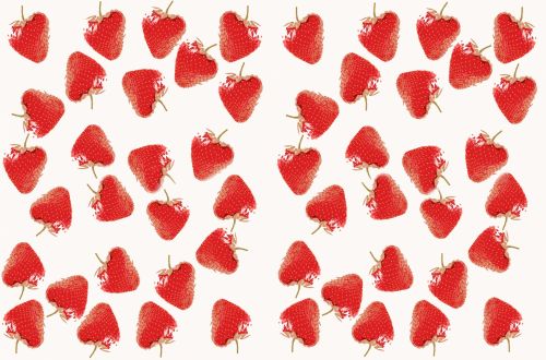 Strawberries Illustration