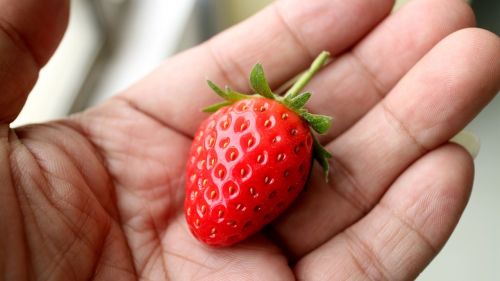 strawberry hand avignon