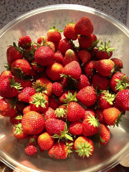 strawberry summer berry