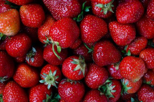 strawberry berry plant