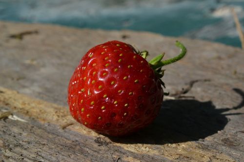 strawberry bio fruit