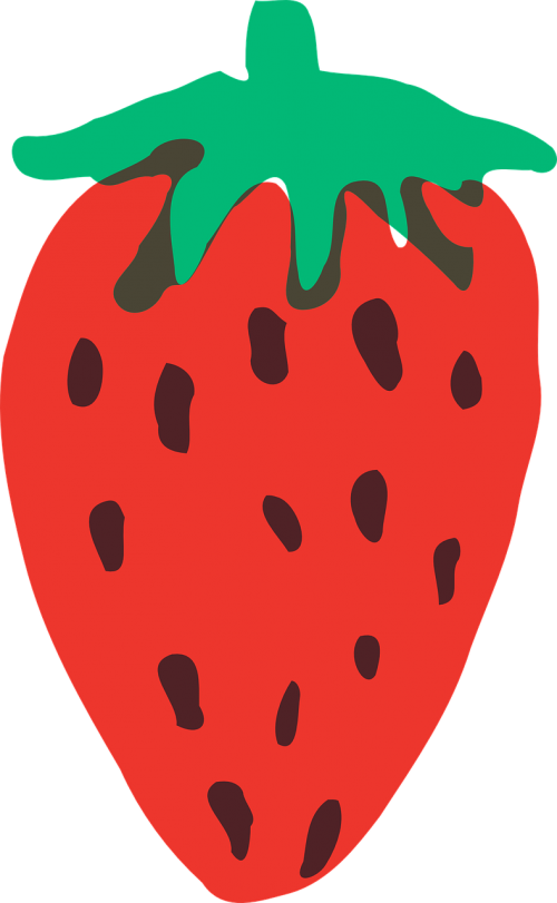 strawberry fruit red