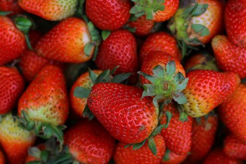 strawberry gallery fruit