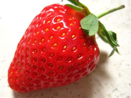 strawberry fragaria slip fruit