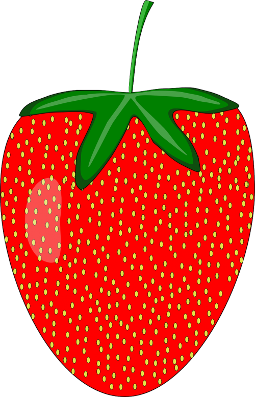 strawberry fruit plant