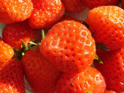 strawberry fruits red