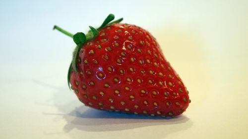 strawberry fruit fruits