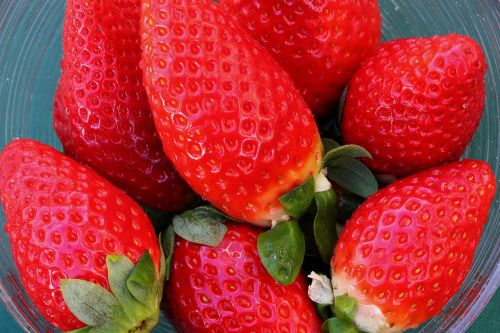 strawberry fruit fruits