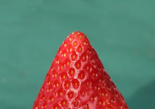 strawberry fruit red