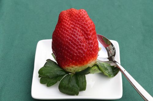 strawberry fruit eat