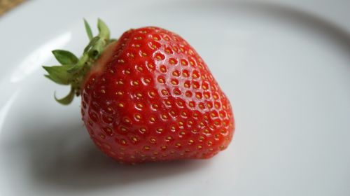 strawberry ripe strawberry red