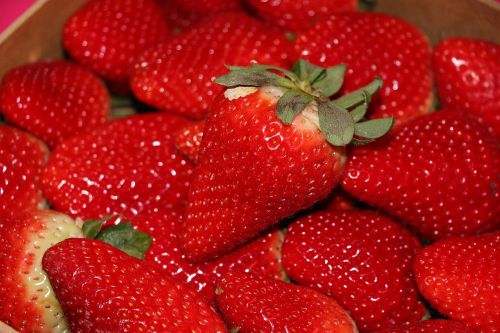 strawberry fruit dessert