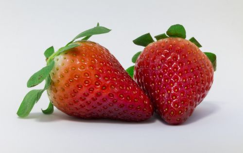 strawberry red fruit