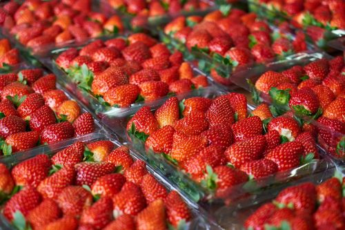 strawberry fruit fresh