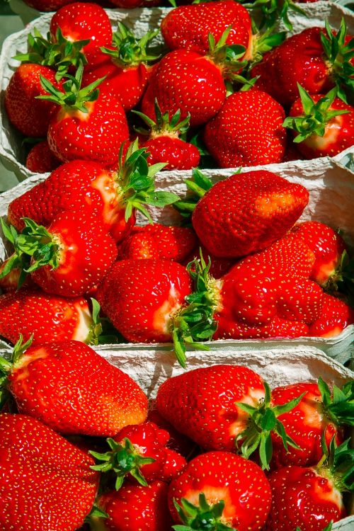 strawberry berry fruit