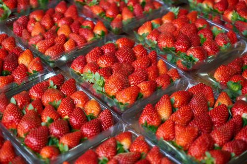 strawberry macro red