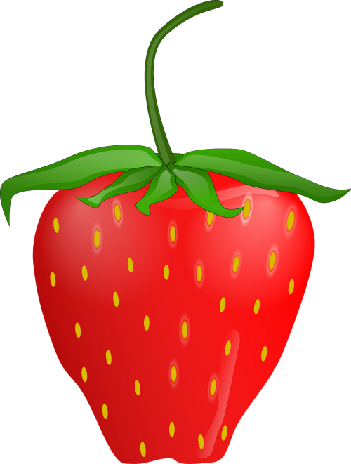 strawberry fruit berry