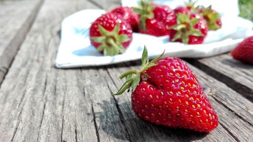 strawberry food crops
