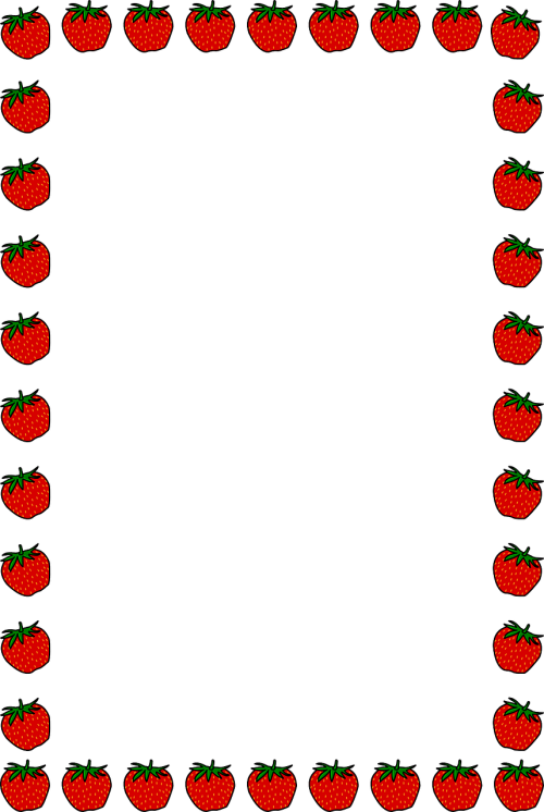 strawberry border floral