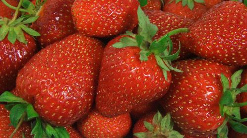 strawberry strawberries health