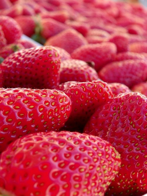 strawberry fruit red fruits