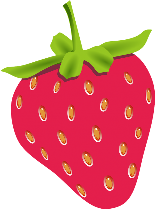 strawberry fruit red