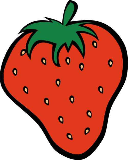 strawberry fragaria fruit