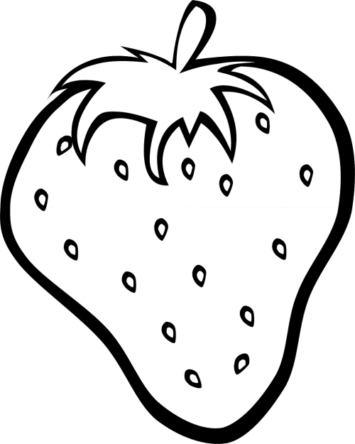 strawberry fruit black and white