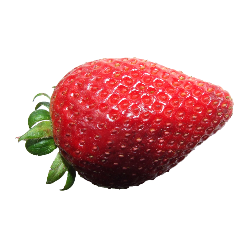 strawberry red fruit