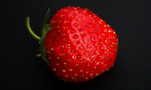 strawberry  red  eating