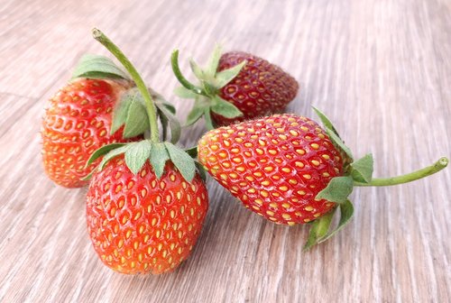 strawberry  garden  berry