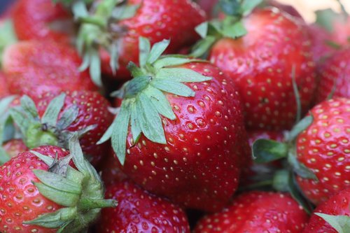 strawberry  strawberries  fruit