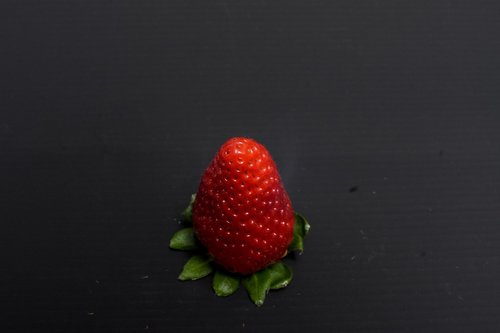 strawberry  vintage  nature