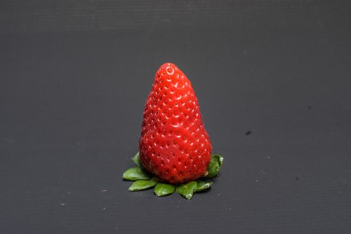 strawberry  vintage  nature