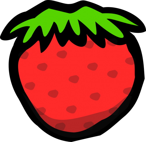 strawberry fruit delicious