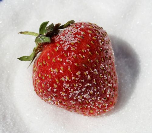strawberry sugared sugar