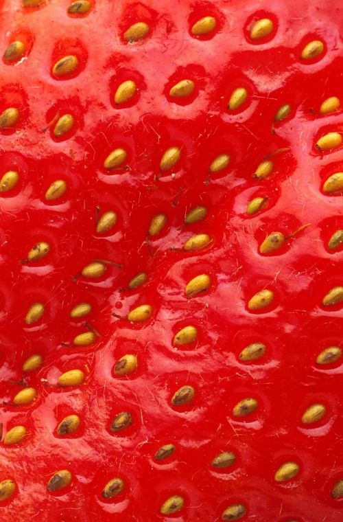 strawberry strawberries fruits