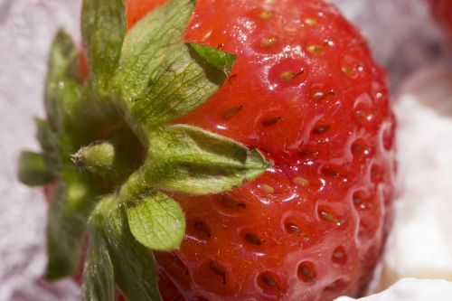 strawberry whipped cream cream