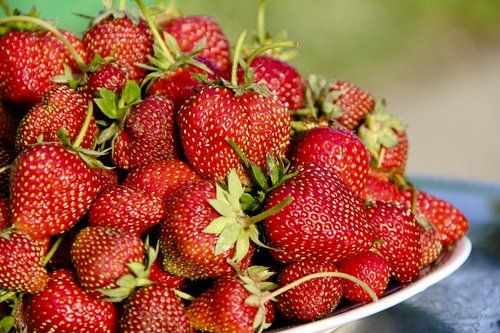 strawberry  berry  fruit