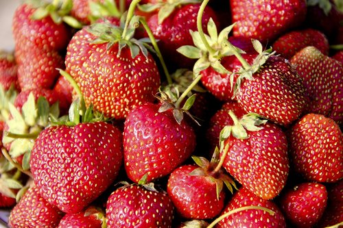 strawberry  berry  fruit