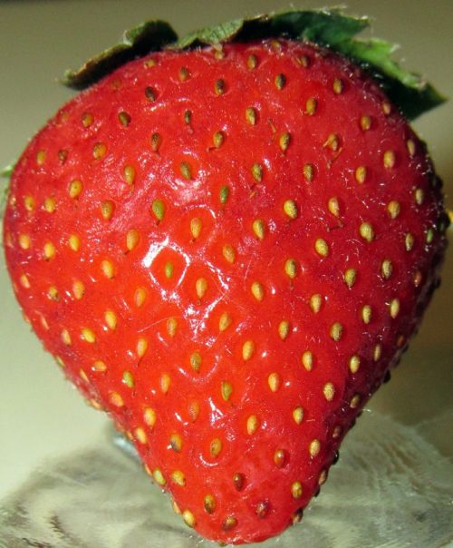 strawberry fresh red