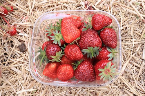 strawberry  fruits  food