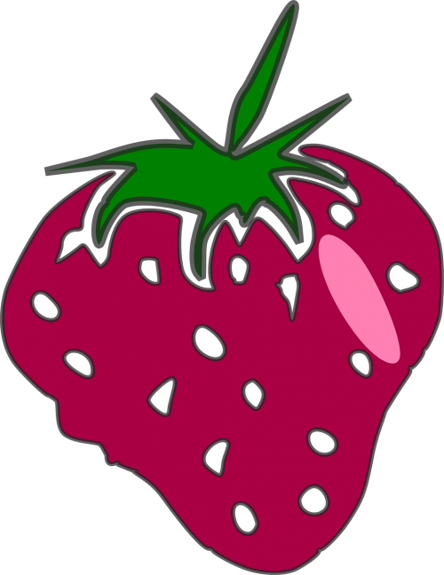 strawberry pink fruit