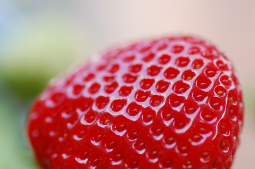 strawberry close food
