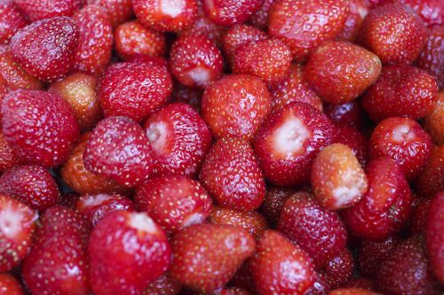 strawberry berry plant