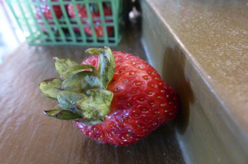 Strawberry Isolated