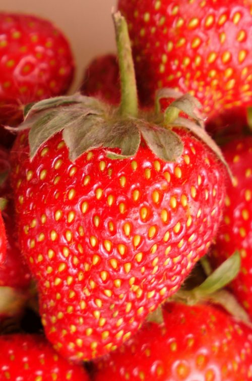 Strawberry Strawberries